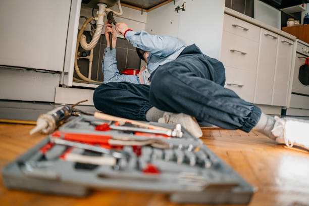 Best Water Softener Installation  in Delavan, WI