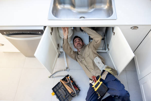 Best Clogged Drain Plumber  in Delavan, WI